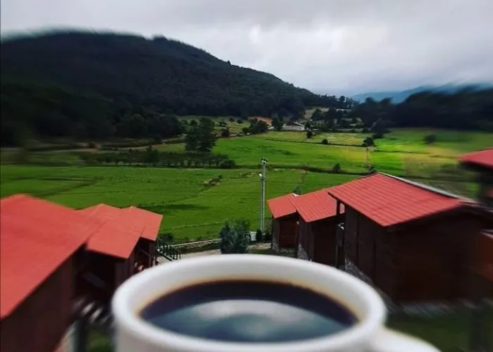 Sizmari Doga Evleri 컨트리하우스 이즈니크